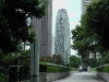 imga0001