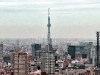 imga0049